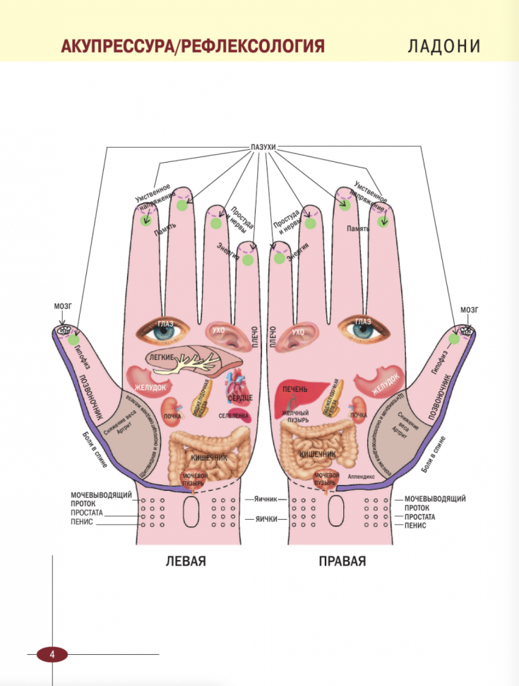 Акупрессура. Иллюстрированный атлас - фото №4