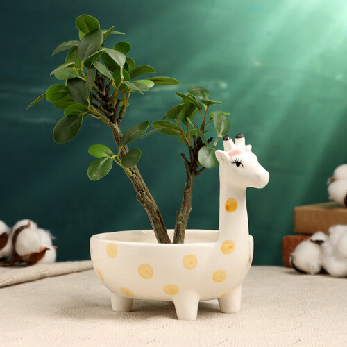 Кашпо - бонсай Жираф 19х13х13см 1440₽