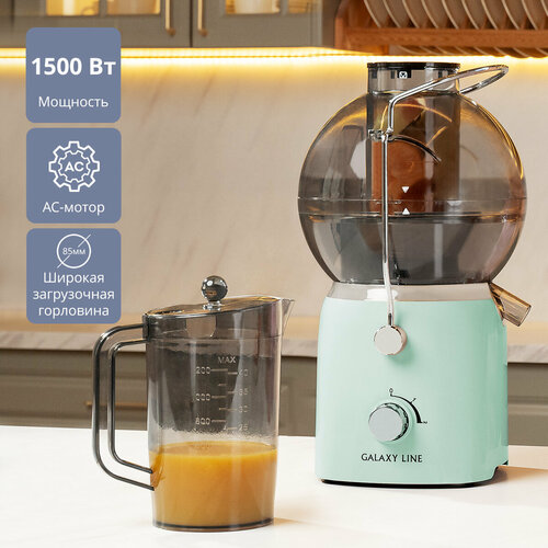 Соковыжималка электрическая GALAXY LINE GL0811мятный 692200₽