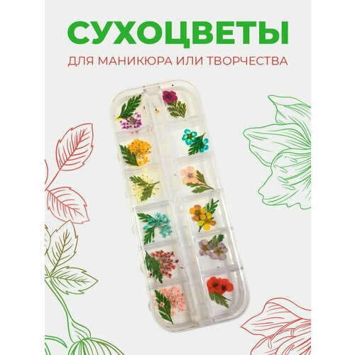 Сухоцветы для ногтей или творчества