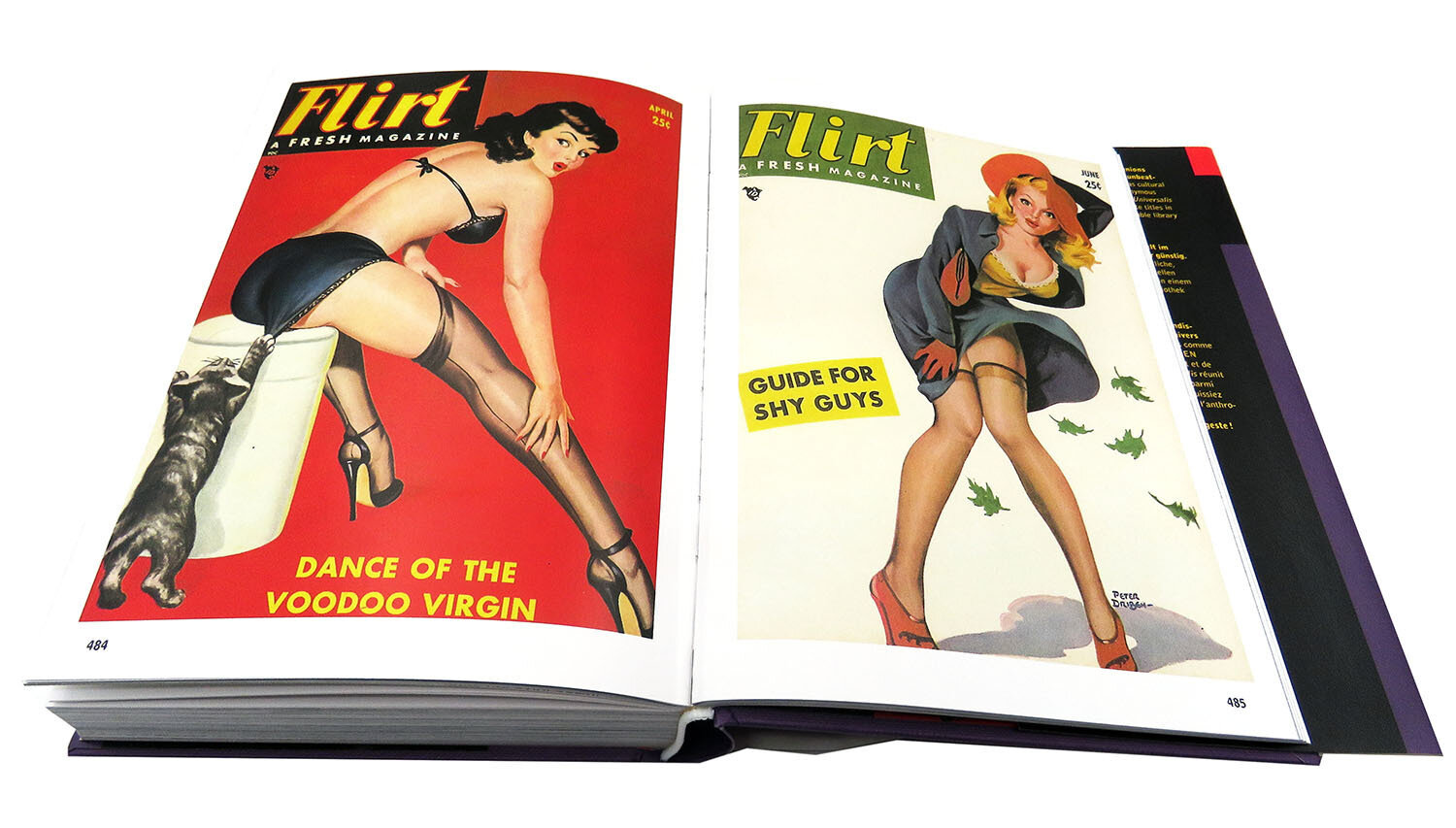 1000 Pin-Up Girls (Driben P.) - фото №8