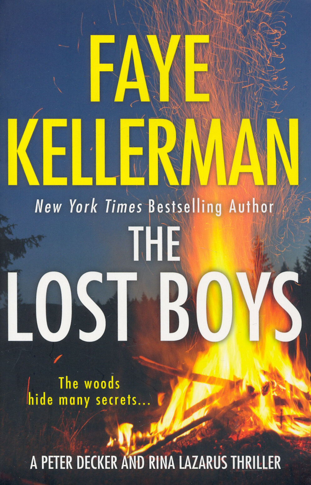 The Lost Boys / Kellerman Faye / Книга на Английском / Келлерман Фэй - фото №1