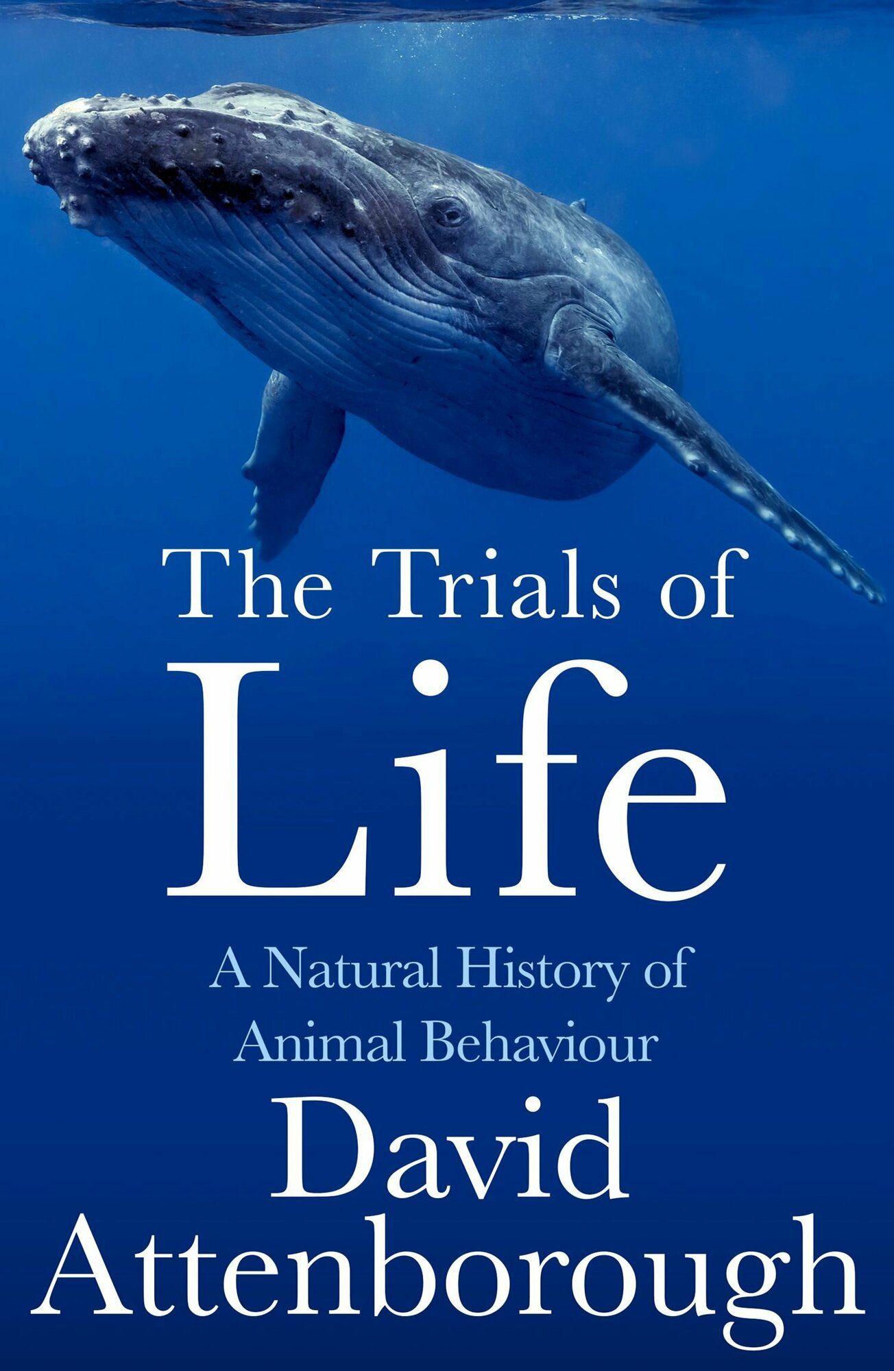 The Trials of Life. A Natural History of Animal Behaviour - фото №1