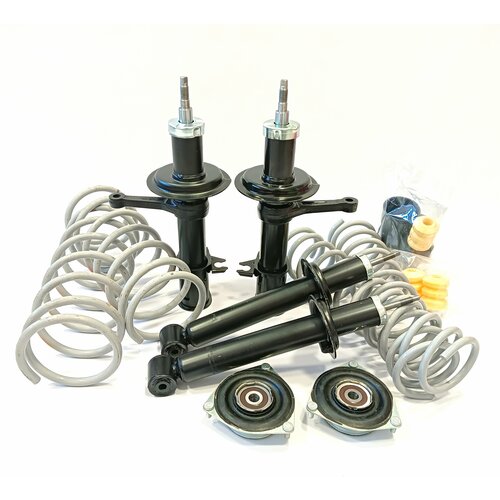 Стойки и пружины в круг модуль в сборе для ВАЗ 2108-21099 2113-2115 18290₽