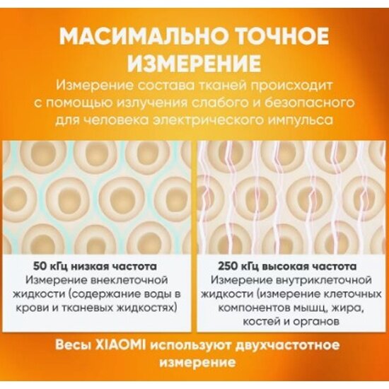 Весы Xiaomi Body Composition Scale S400 Белый: первый опыт использования