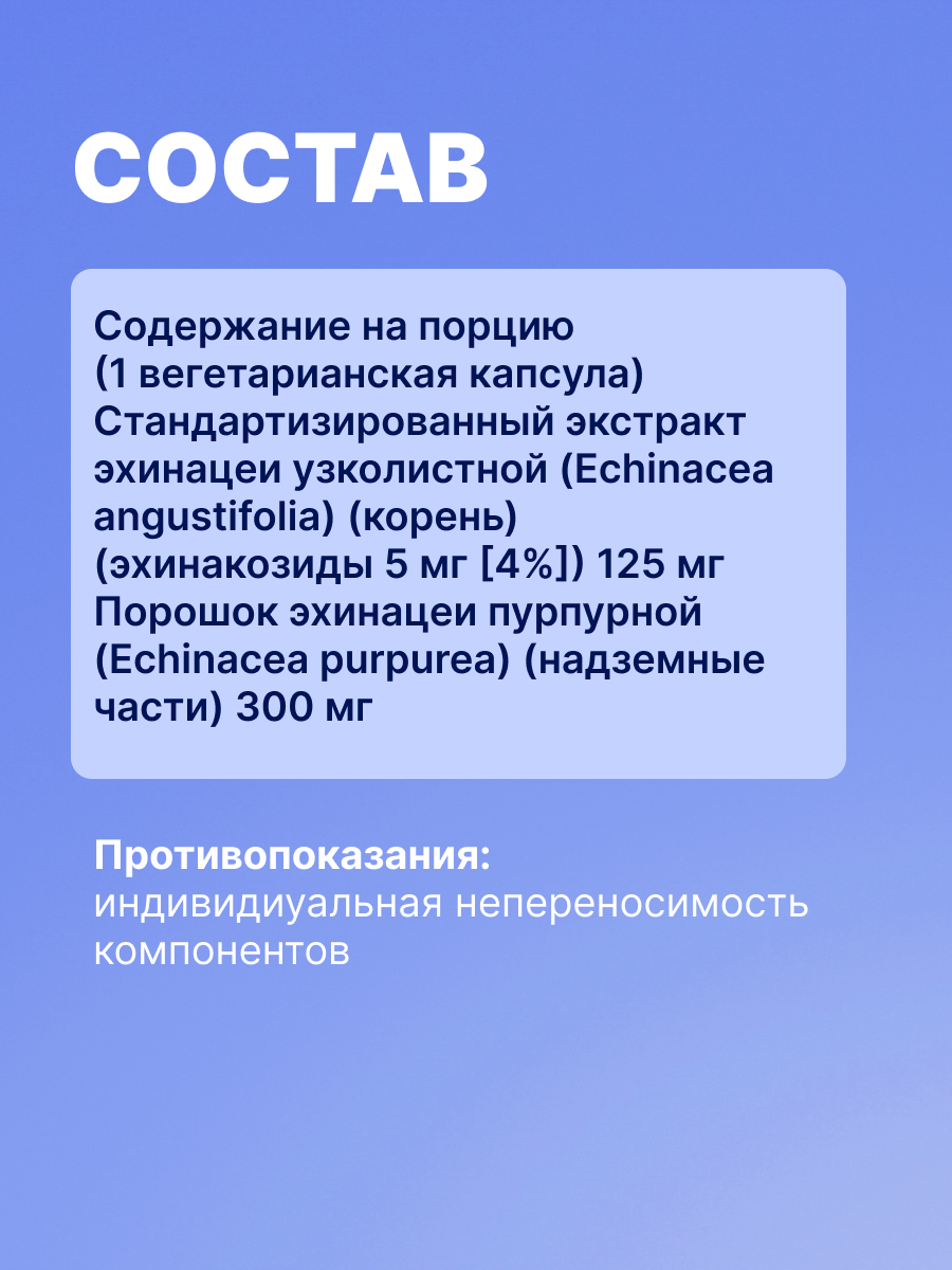 Экстракт эхинацеи пурпурной витамины от бронхита пневмонии — фото 1