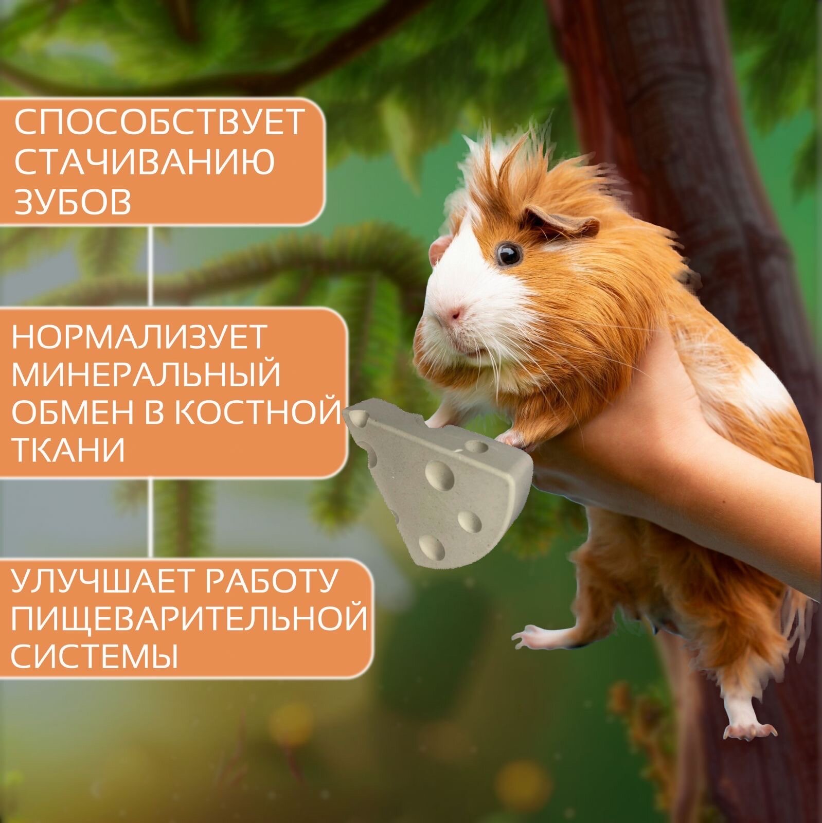 Картинки Камень минеральный "Сыр",100% эко, для крыс/мышей/хомяков, 60г