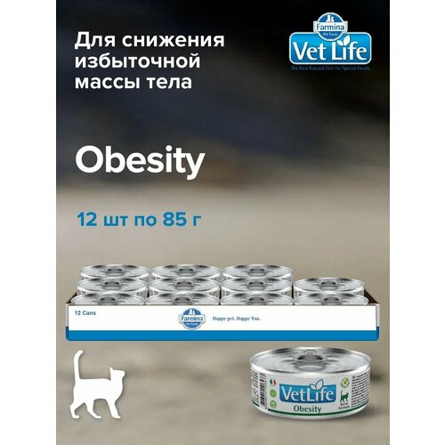 Влажный корм для кошек Farmina Vet Life Obesity, при ожирении, 12 шт х 85 гр