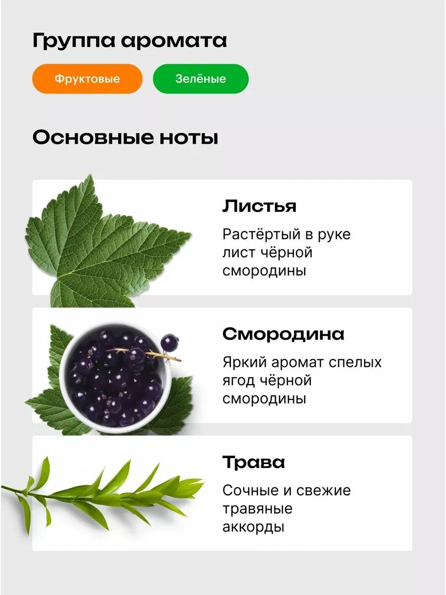 Библиотека ароматов Черная смородина Парфюмерная вода 18 мл — фото 1