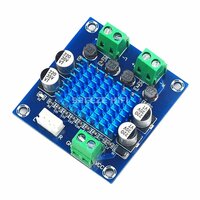 BRZHIFI Цифровой усилитель мощности XH-A232 30Вт + 30Вт, With terminal