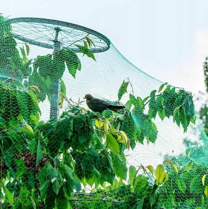Сетка для защиты урожая 2х10 м GARDEN SHOW — фото 1