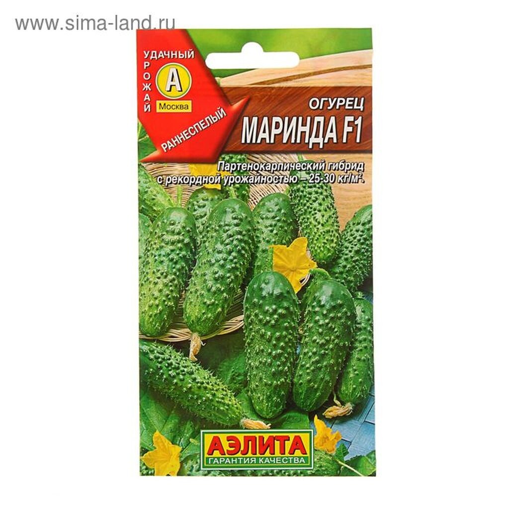 Семена Огурец 