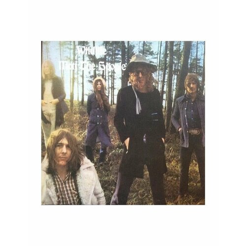 Виниловая пластинка Mott The Hoople, Wildlife (0602577833939) компакт диски sony music mott the hoople the hoople cd japan