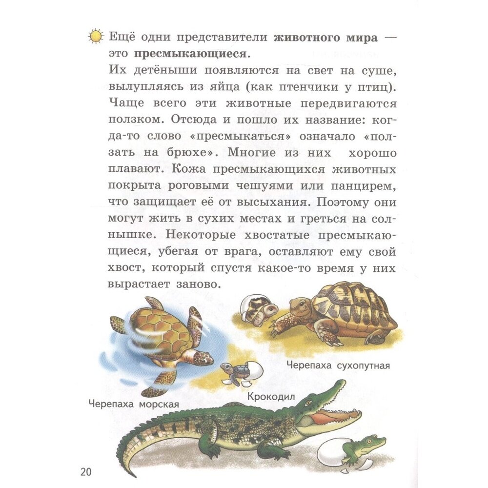 Мир вокруг нас. 5-6 лет (Бортникова Елена Федоровна) - фото №5
