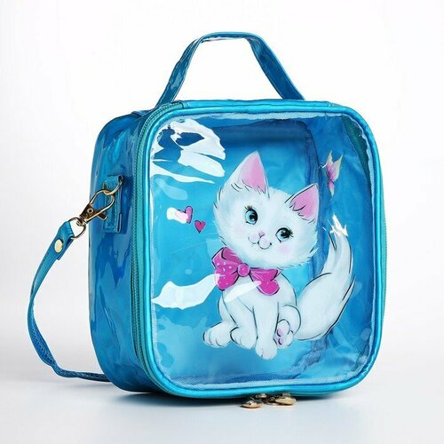 фото Сумка , голубой нет бренда