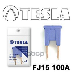 Предохранитель Tesla Fj15 100A TESLA арт. FJ15 100A