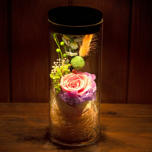 Ночник светодиодный Роза в колбе с сенсорной LED-подсветкой - Роза Лайт