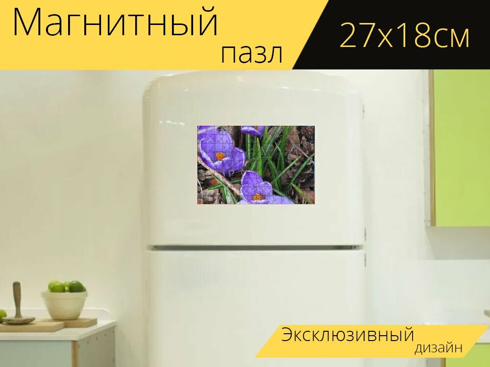 Магнитный пазл "Крокус, весенний цветок, весна" на холодильник 27 x 18 см.