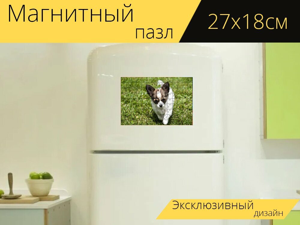 Магнитный пазл "Чиуауа, щенок, животные" на холодильник 27 x 18 см.