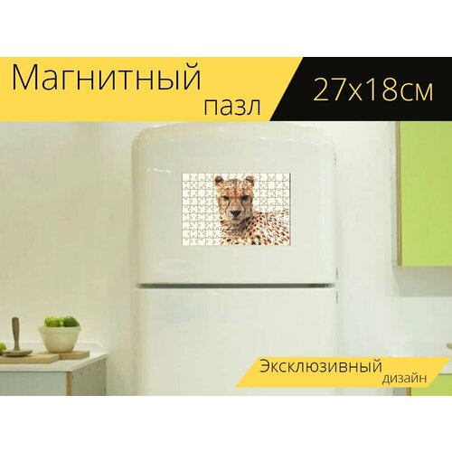 Магнитный пазл Гепард, животное, природа на холодильник 27 x 18 см.