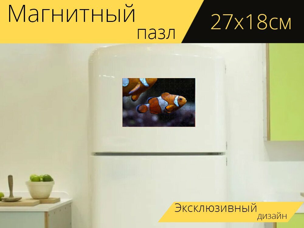 Магнитный пазл "Немо, рыбаклоун, рыбы" на холодильник 27 x 18 см.
