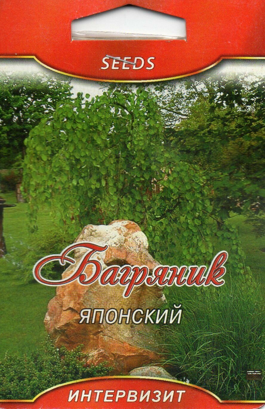 Багряник японский семена