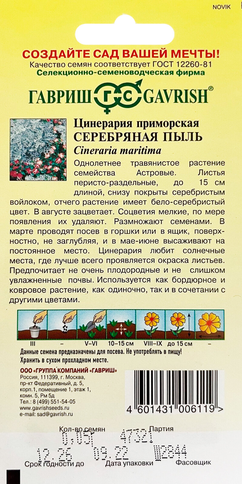 Цинерария приморская Серебряная пыль Гавриш - фото №2