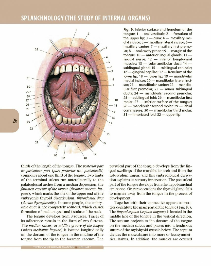 Textbook of Human Anatomy. In 3 volumes. Volume 2. Splanchnology and cardiovascular system - фото №5