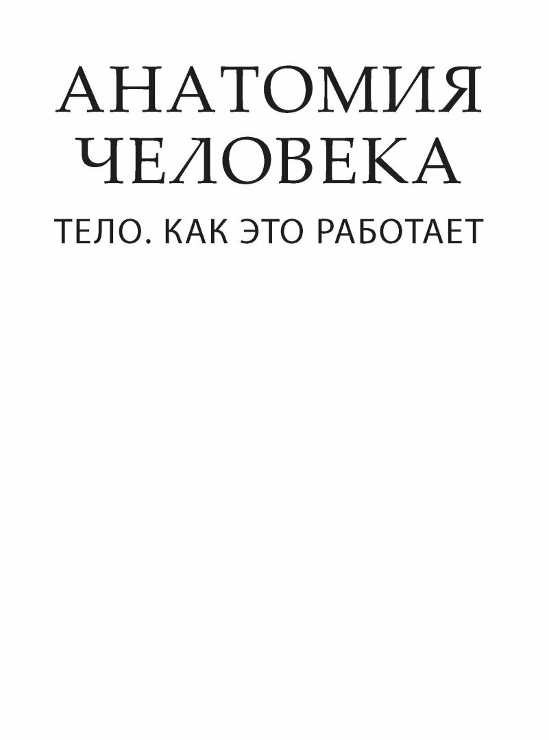 Анатомия человека. Тело. Как это работает - фото №7