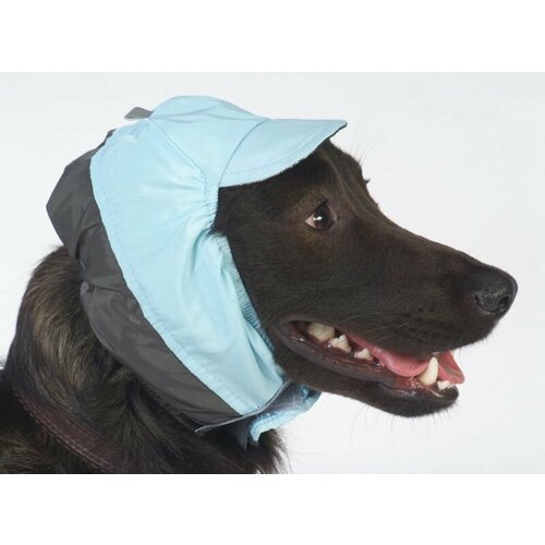 Шапка тузик №0 ог до 26 см холодная унисекс плащевка, фланель щенки 1 кг