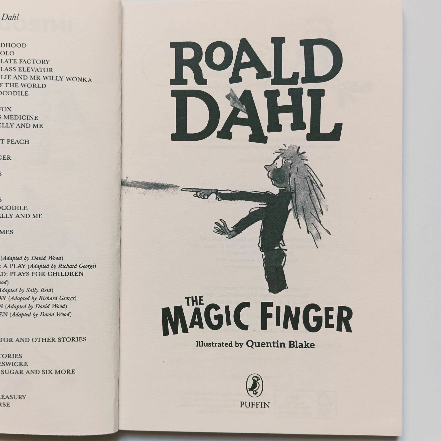 The Magic Finger (Roald Dah) - фото №4