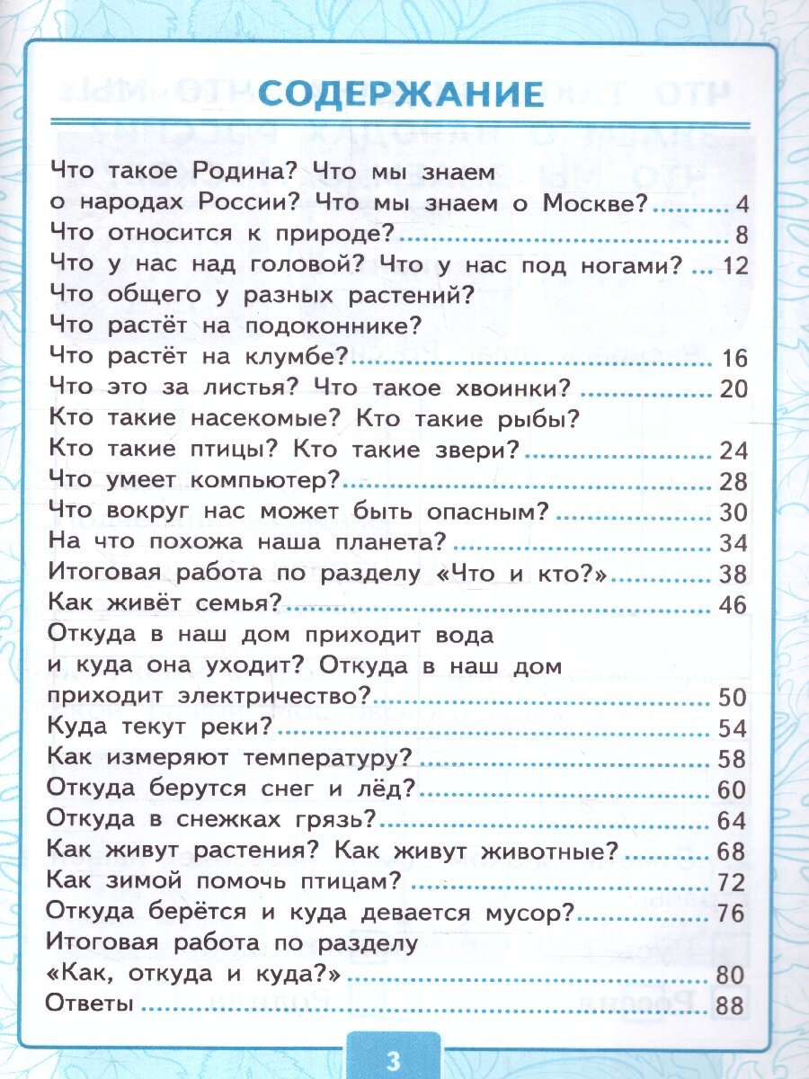 Окружающий мир. 1 класс. Контрольные работы к учебнику А. А. Плешакова. Часть 1 - фото №2