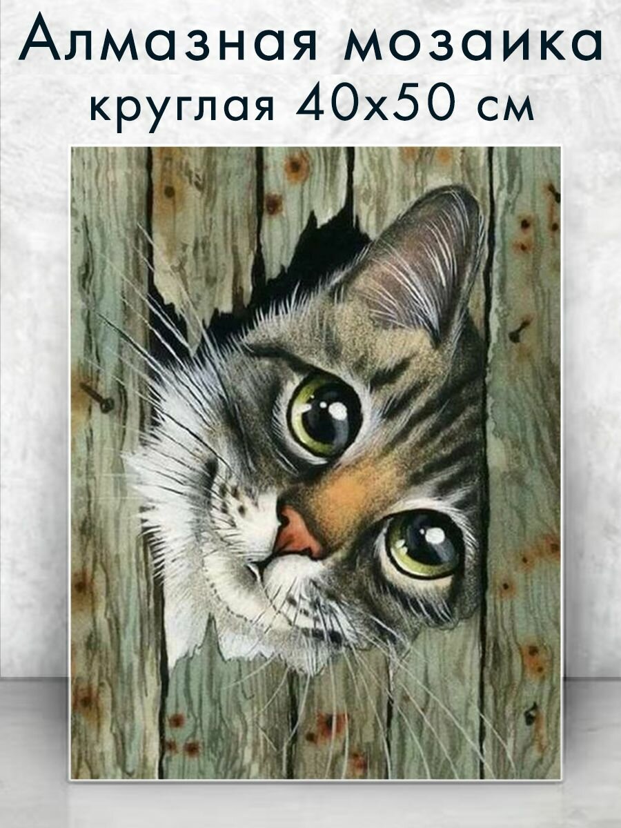 Алмазная мозаика (круглая) Котик в заборе 40х50 см