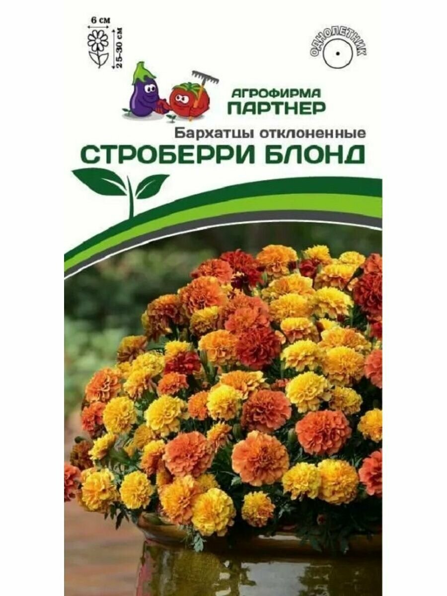 Бархатцы Строберри Блонд