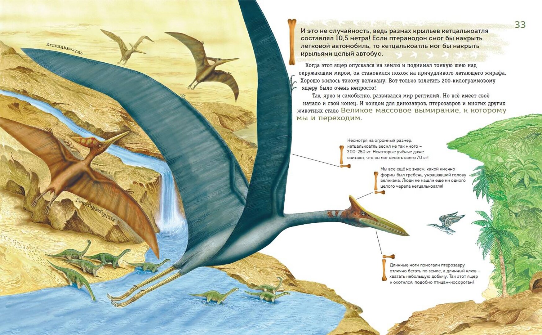 Динозавры мелового периода (Попов Ярослав Александрович) - фото №13