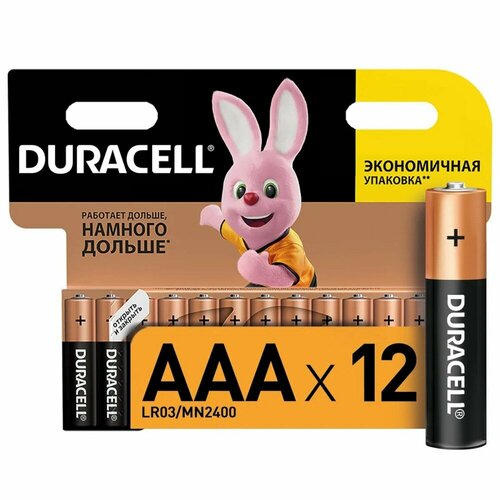 AAA (LR03) Duracell Basic MN2400, 1.5V, упаковка 12шт.