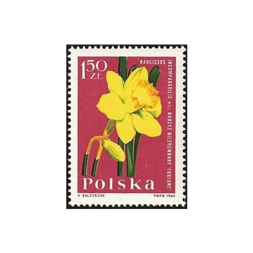 (1964-090) Марка Польша Нарцисс , III O 1964 084 марка польша фрезия iii o