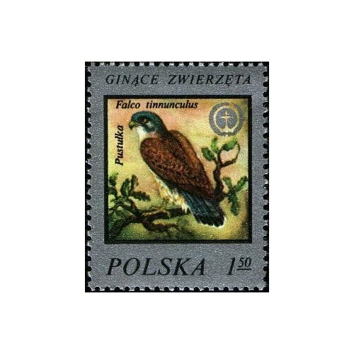 (1977-024) Марка Польша Пустельга Редкие животные III Θ