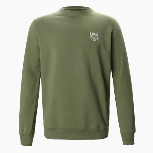 фото Толстовка mist, размер 48, зеленый