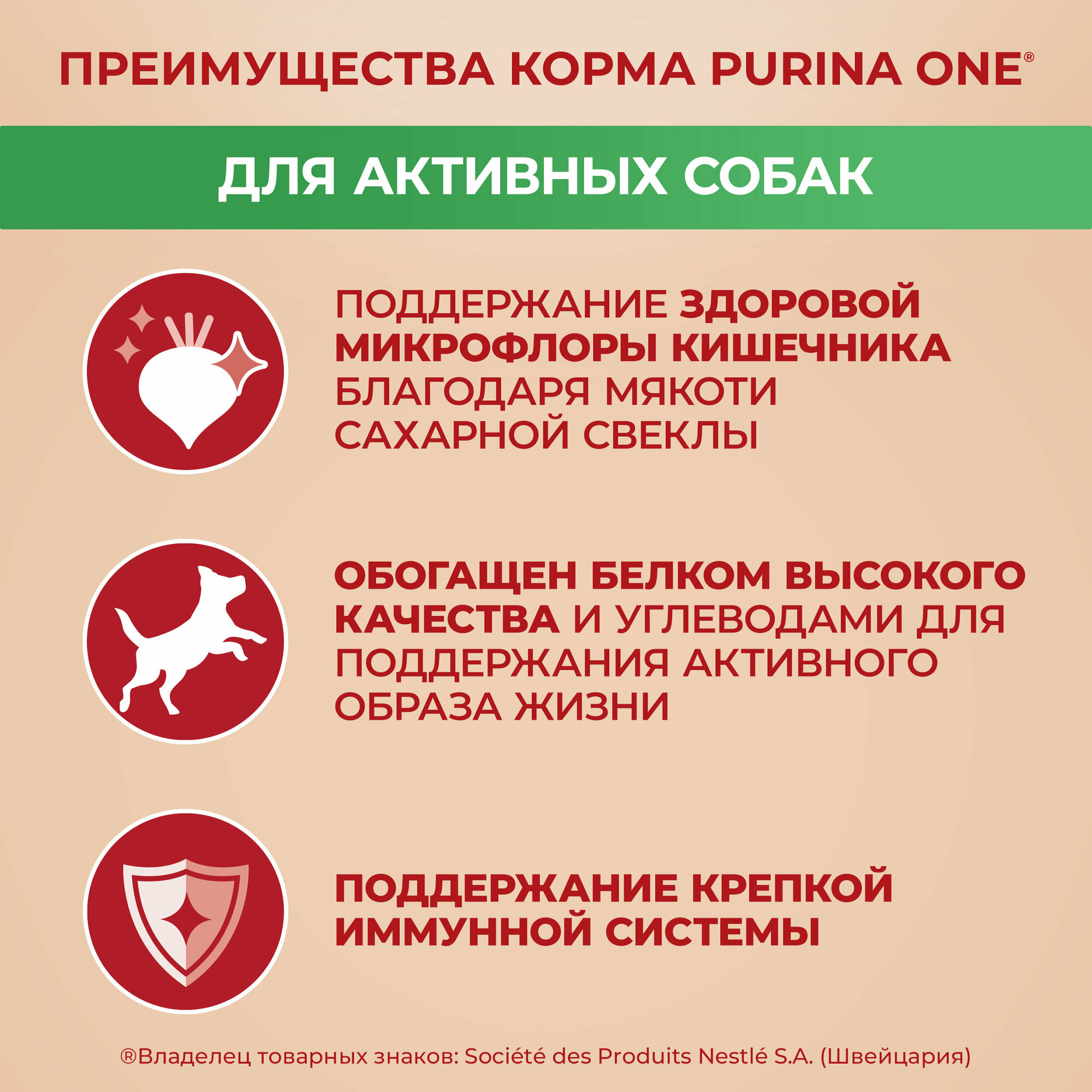 Сухой корм Purina ONE® мини для активных собак мелких пород с курицей и с рисом, 3 кг — фото 1