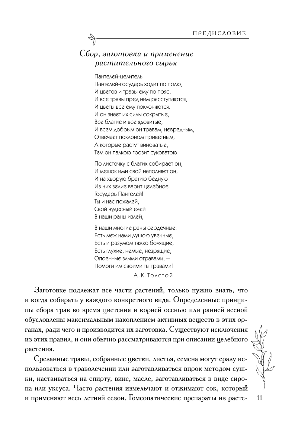 Аптечка в огороде. Выращивание, сбор и применение целебных растений - фото №10