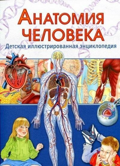 Анатомия человека. Детская иллюстрированная энциклопедия (Гуиди В.), (Владис, 2017)