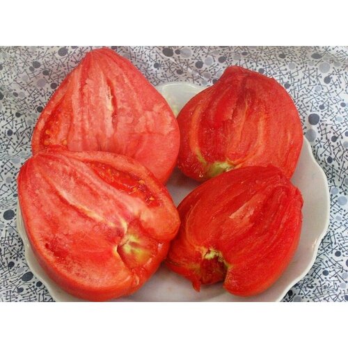 Коллекционные семена томата Коловый коллекционные семена томата двухкилограммовый