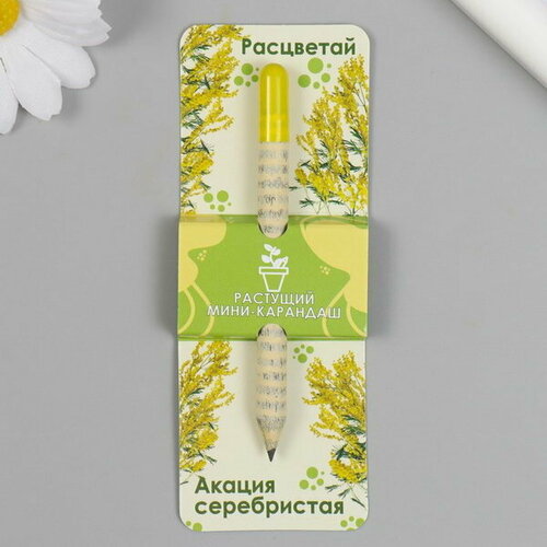 Растущие подарочные карандаши mini Расцветай Акация серебристая растущие карандаши mini расцветай акация серебристая