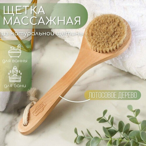 Массажная щётка из натуральной щетины с ручкой (цвет не указан)