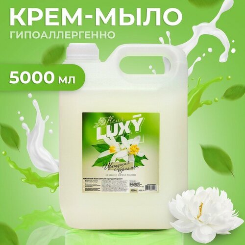 Luxy Крем-мыло жидкое Luxy цветущий бергамот, 5 л