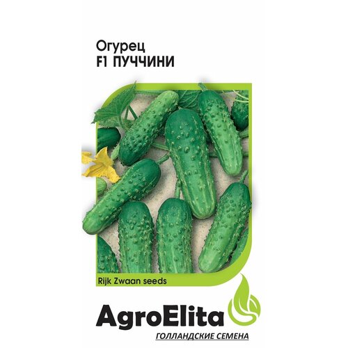 Семена Огурец Пуччини F1, 5шт, AgroElita, Rijk Zwaan