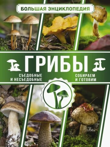Андрей Поленов - Большая энциклопедия. Грибы. Съедобные и несъедобные. Собираем и готовим