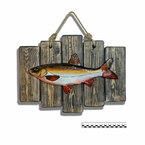 Настенная статуэтка язя исп.1