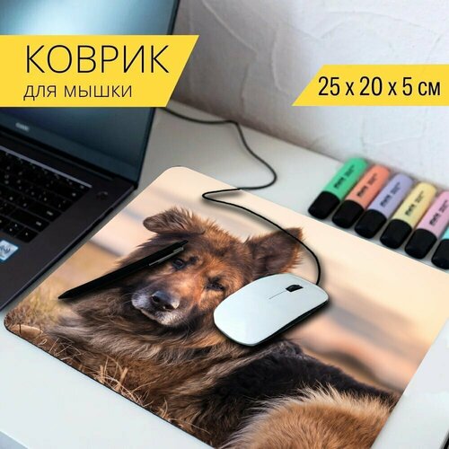 Коврик для мыши с принтом Собака, немецкая овчарка, домашнее животное 25x20см.